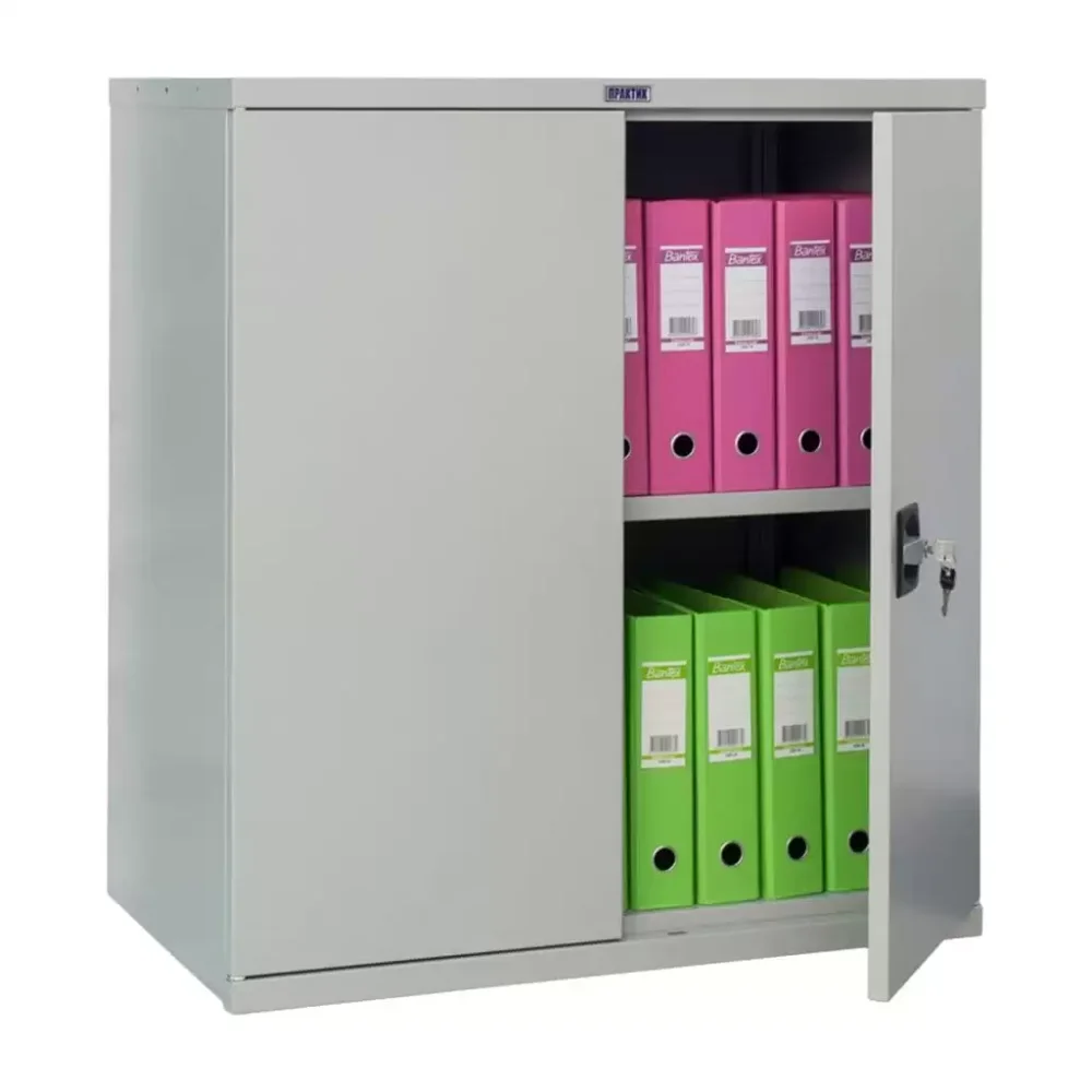 Шкаф ПРАКТИК СВ-13